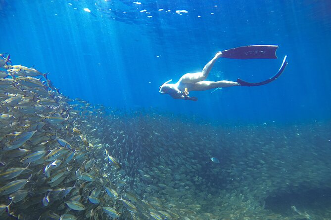 Koh Nang Yuan and Koh Tao 5 Point Snorkeling Tour - Guest Experiences and Feedback