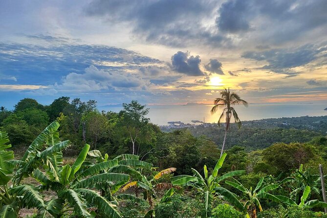 Koh Samui 4WD Jeep Jungle Tour - Tips for Travelers