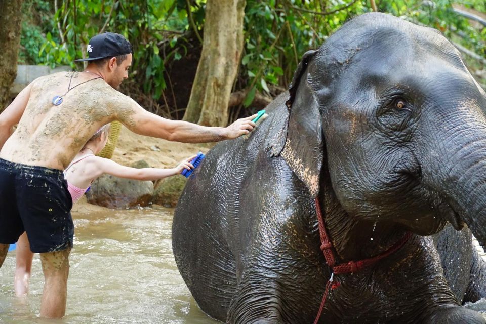 Koh Samui: Half-Day Ethical Elephant Sanctuary With Mud Spa - Cooking Class and Meal