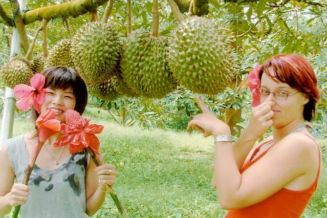 Koh Samui Jungle Safari Eco Tour (Include Lunch) - Customer Reviews and Feedback