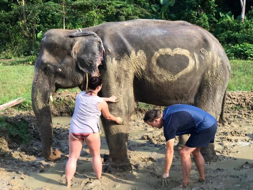 Krabi: Elephant Bathing & ATV Adventure Combo - Thrilling ATV Jungle Adventure