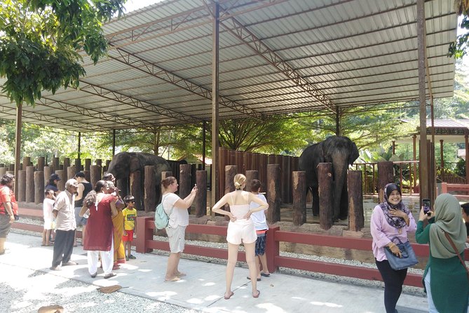 Kuala Gandah Elephant Sanctuary With a Batu Caves Visit - Visitor Reviews