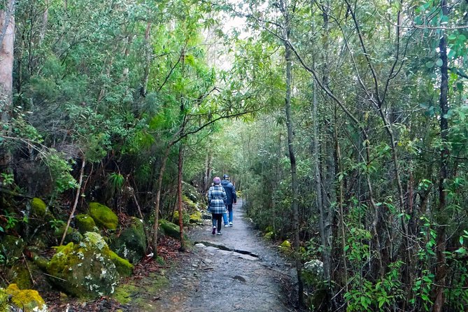 Kunanyi/Mt Wellington Tour & Hobart Hop-On Hop-Off Bus - Hop-On Hop-Off Experience