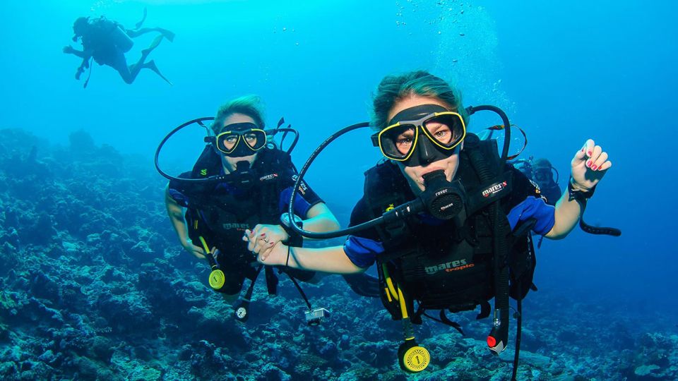 Kusadasi Scuba Diving - Customer Feedback and Ratings