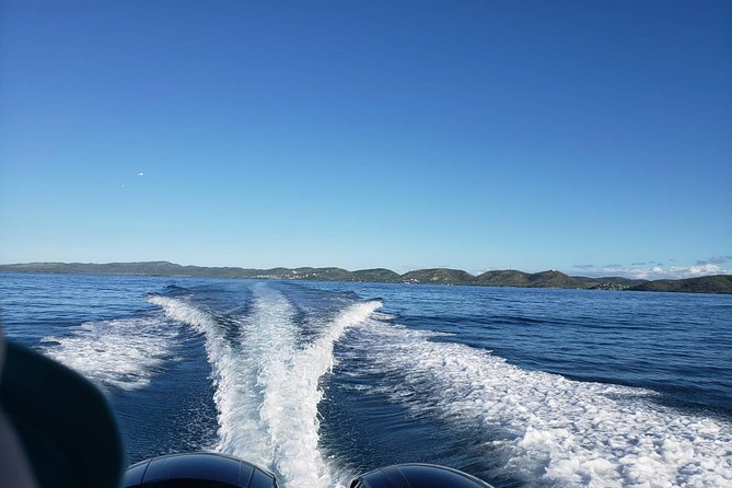 La Parguera Private Boat Charter - Customer Reviews and Feedback