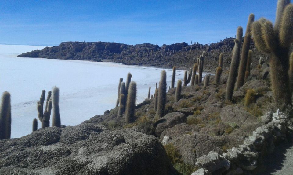 La Paz: Uyuni Tour Ending in Atacama, Chile by Bus. - Customer Experiences