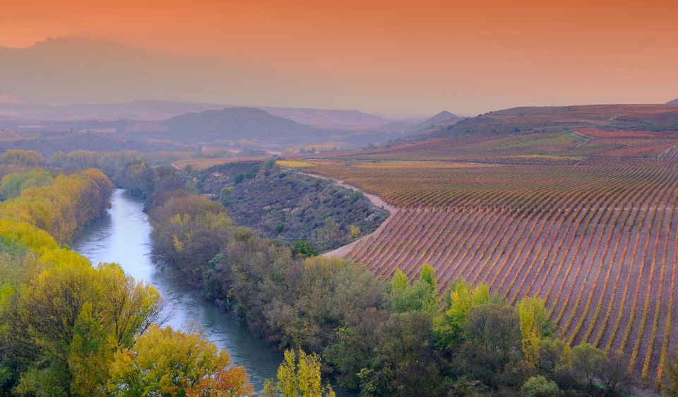 La Rioja Vineyards Private Tour From Bilbao (3 Vineyards) - Wineries Visited