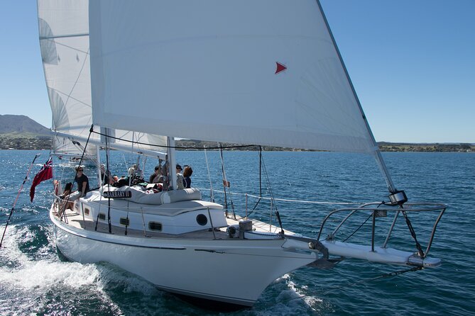 Lake Taupō Private Day Tour From Auckland to MāOri Rock Carvings - Swimming and Outdoor Activities