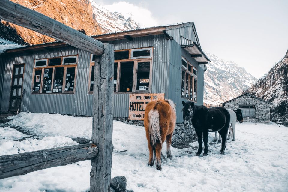 Langtang Heritage Trek - 14 Days - Safety Guidelines