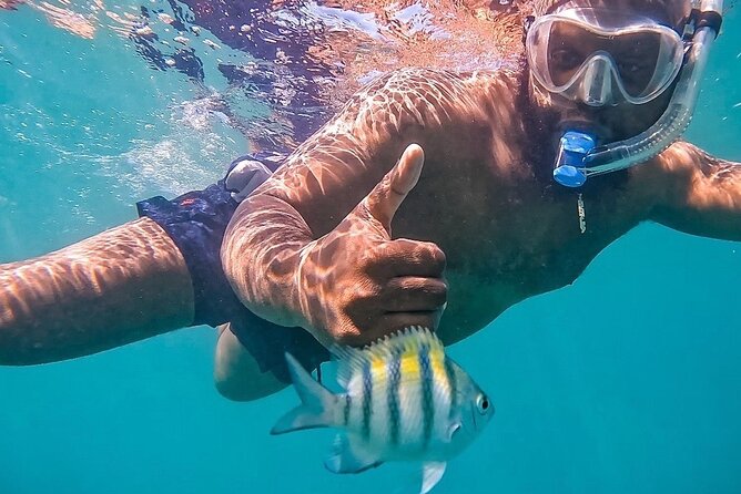 Learn to Snorkel With Fish and Turtles - Logistical Details