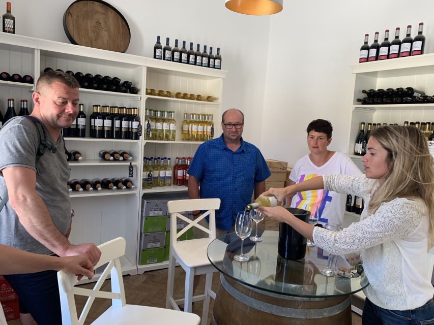 Lisbon Area Wine Tour - Accessibility and Restrictions