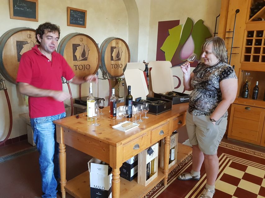 Lisbon: Arrábida Culture, Wine & Gastronomic Experience - Visiting the Oldest Winery in Palmela