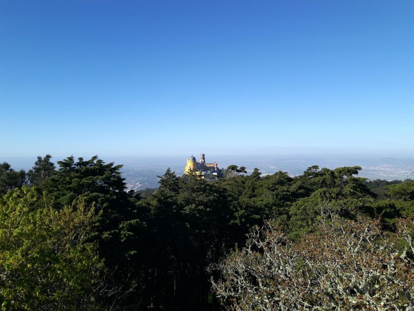 Lisbon: Half-Day Sintra Tour With Pena Palace and Regaleira - Important Information