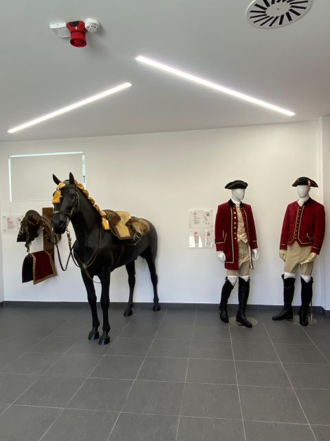 Lisbon: Morning of Equestrian Art With Lusitano Horses - Important Details