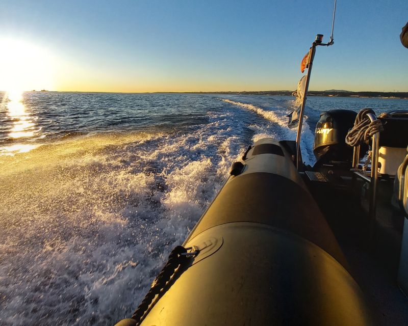 Lisbon: SpeedBoat Tour at Sunset or Daylight - Customer Reviews