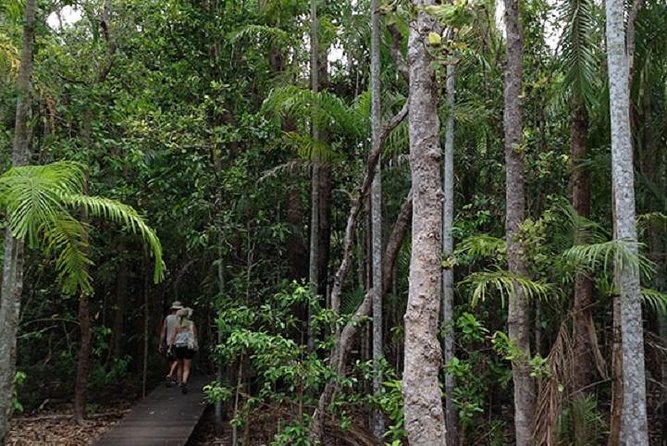 Litchfield National Park and Jumping Crocodile Cruise - Swimming Locations