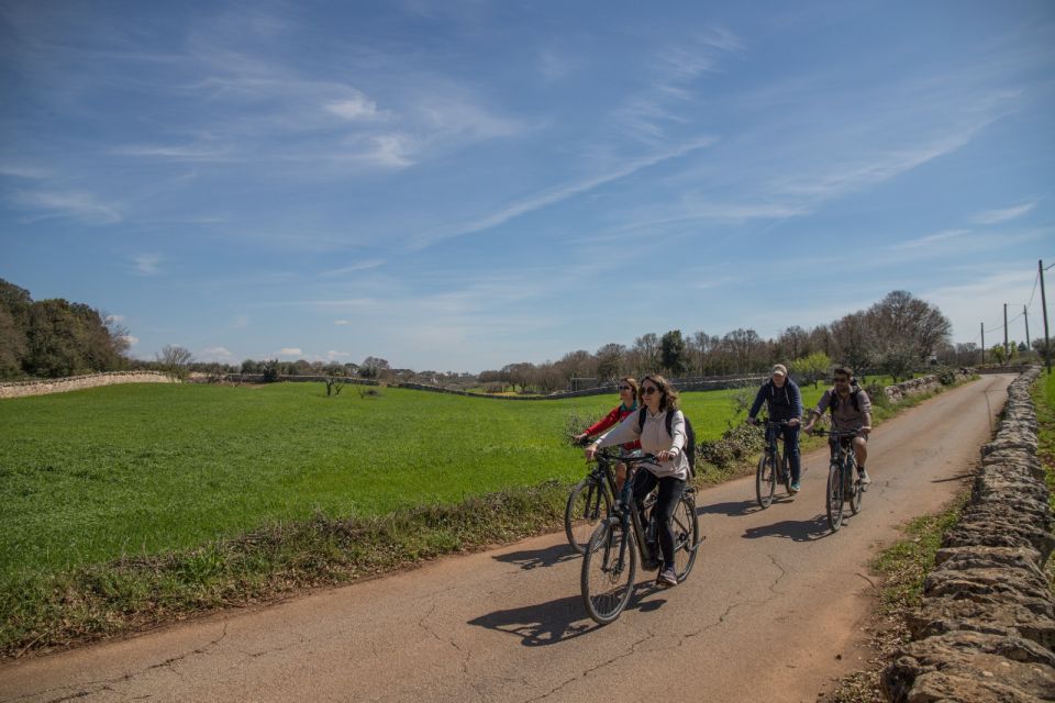 Locorotondo: Guided E-Bike Tour With Olive Oil Tasting - Olive Oil Production Process