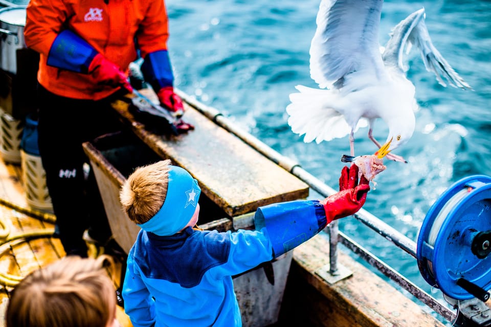Lofoten: Traditional Fishing Trip - What to Expect Onboard