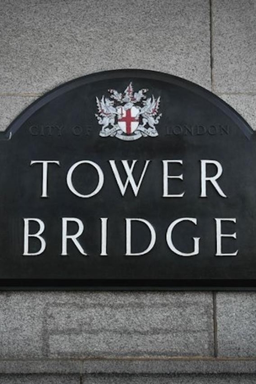 London: Westminster Walking Tour & Visit Tower Bridge - Accessibility Features