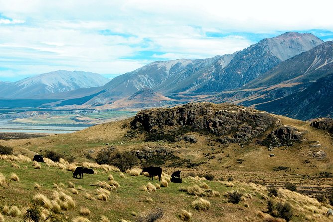 Lord of the Rings High Country Station Pioneering Experience & Scenic Day Tour - Important Tips for Travelers