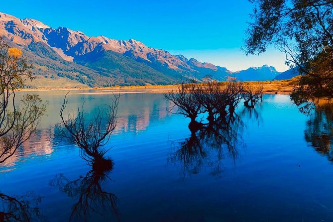 Lord of the Rings Scenic Half Day Tour From Queenstown - Special Offers and Pricing