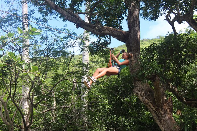 Loterie Farm: Fly Zone Treetop Zip-Line Adventure - Booking and Cancellation Policies