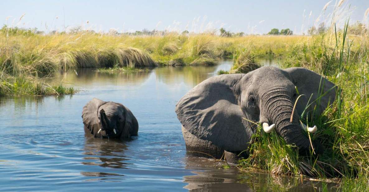 Luxury Chitwan Jungle Safari 4 Days Tour - Customer Reviews