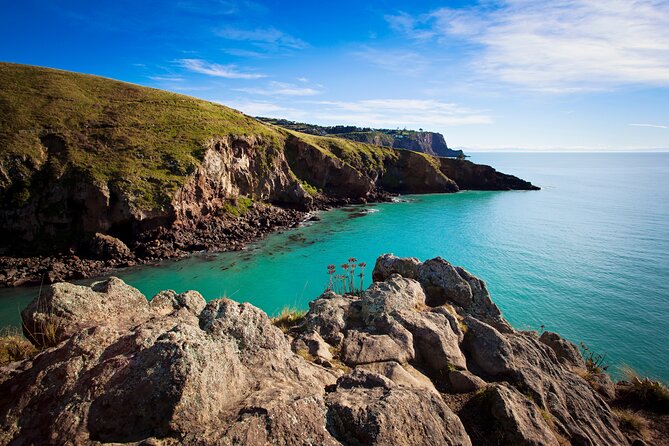 Luxury Private Guided Crater Rim Walk on Banks Peninsula - Guest Reviews and Ratings