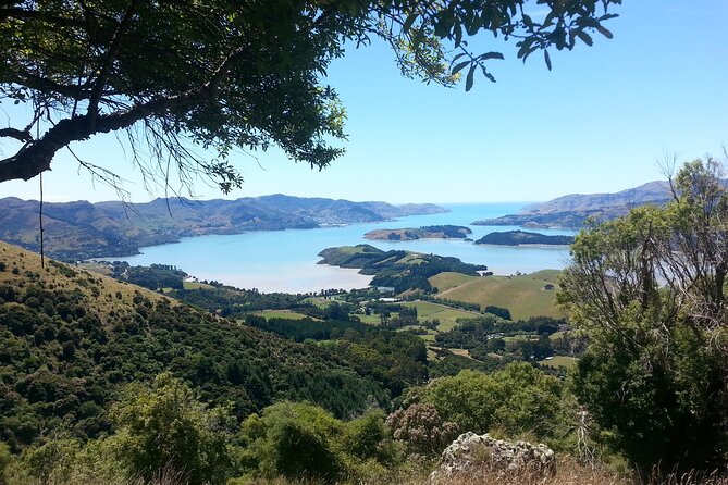 Lyttelton Shore Excursion -Guided Hiking Tour Packhorse Hut - Pricing Information