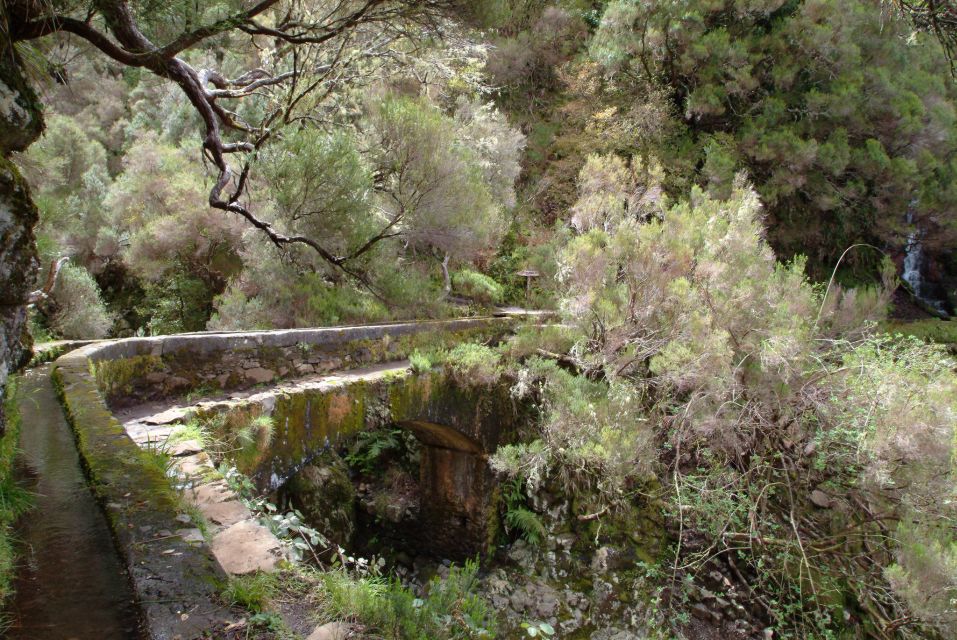 Madeira: Rabaçal Valleys 3-Hour Guided Walk - Suitability Restrictions