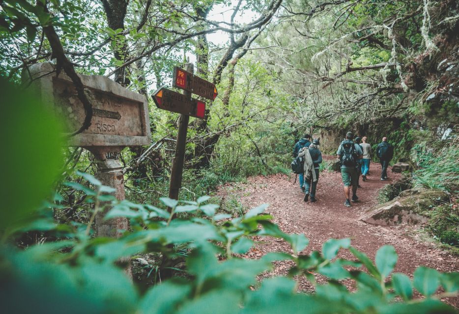 Madeira: Ribeiro Frio Valley and the 25 Fountains Hike. - Exploring the 25 Fountains