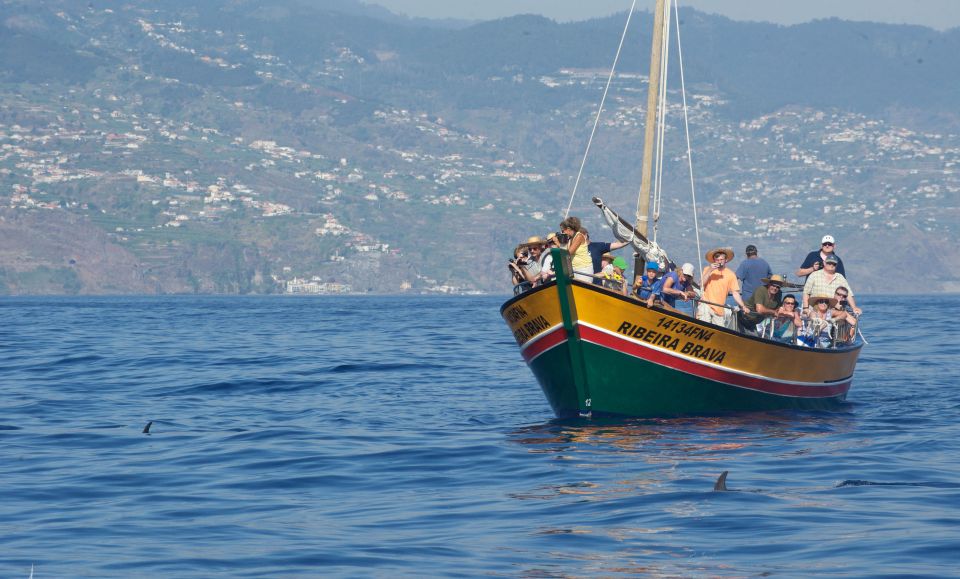 Madeira: Whale Watching Excursion in a Traditional Vessel - Traditional Wooden Vessel