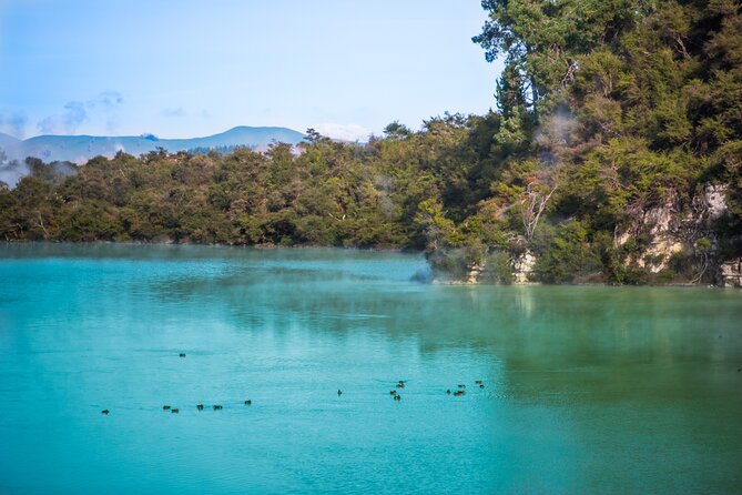 Magical Wanderer Experience Private Tour to Te Puia & Wai-O-Tapu - Reviews and Testimonials