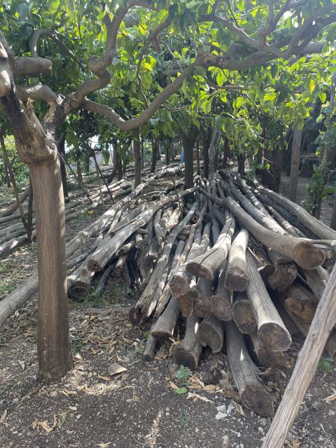 Maiori: Amalfi Coast Path of Lemons Day Trip With Tastings - What to Bring