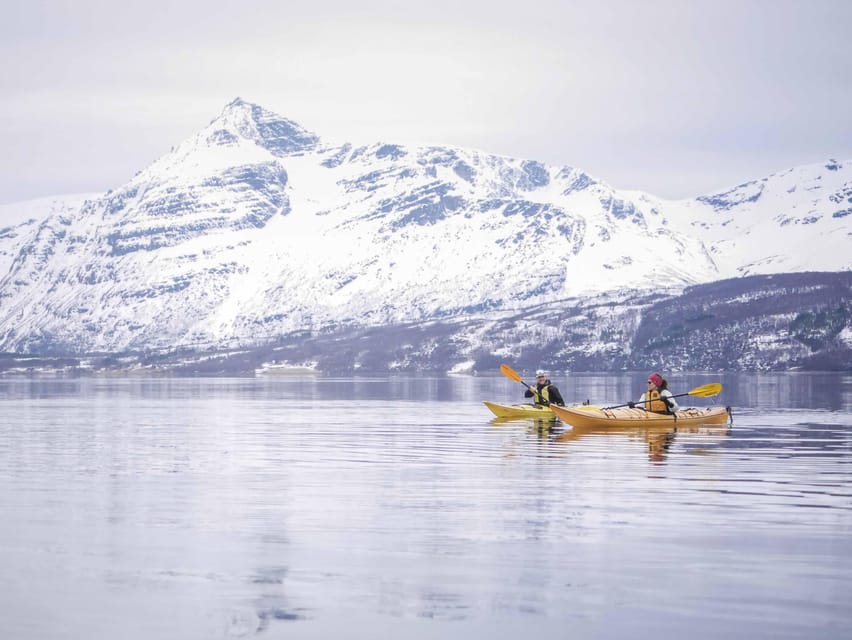 Malangen: Fjord Kayaking With Lunch - Dietary Options Available