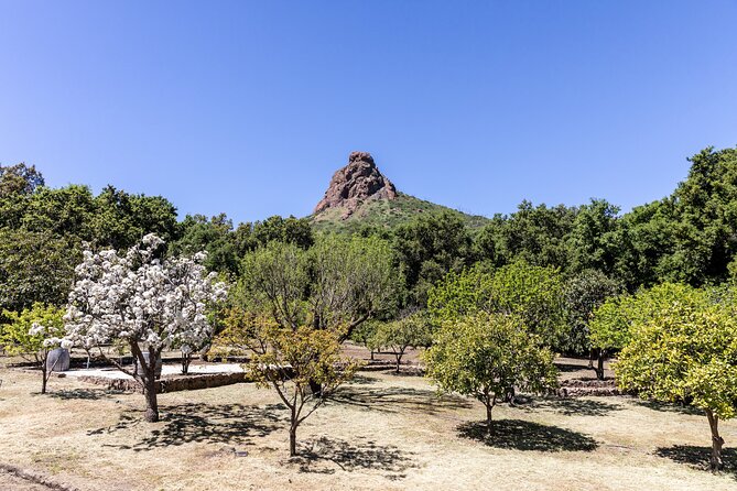 Malibu: Guided Vineyard Hike With Photo Stops and Wine - Photo Opportunities