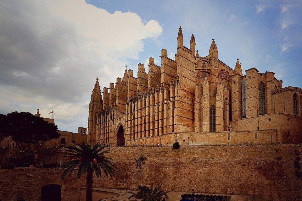 Mallorca and Cathedral Private Walking Tour - Convenient Transportation and Ticket Inclusions