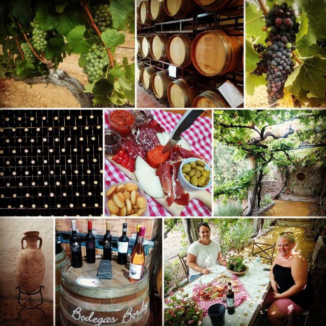 Mallorca: Private Wine Tour With Tasting and Picnic - Purchasing Wines After Tasting