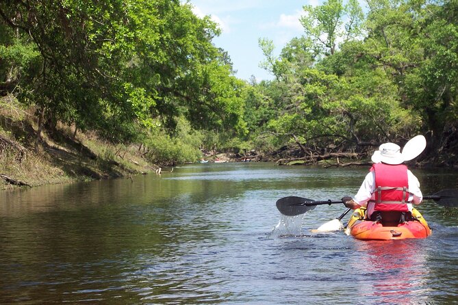 Manatees/Sunset/Bioluminescence Tour - Booking Details