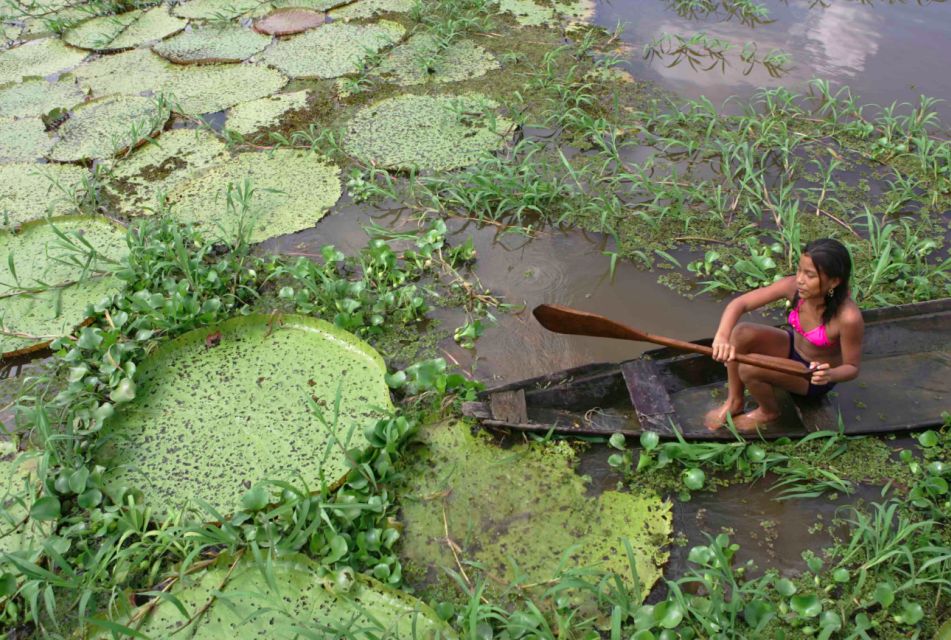 Manaus: Full-Day Tour on the Amazon River - Booking Information