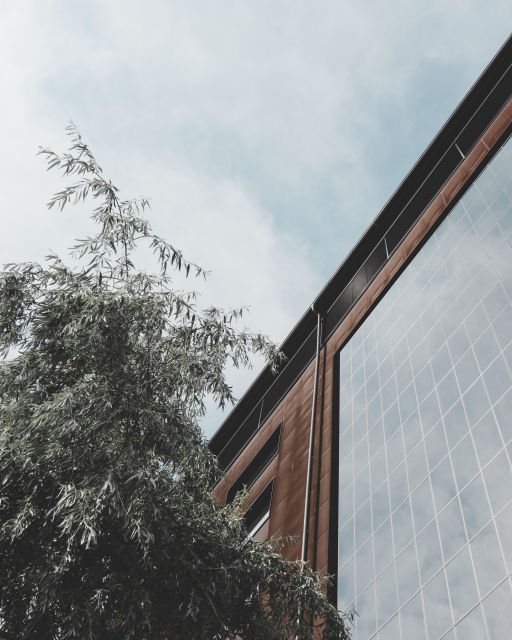 Mannheim: Private Architecture Tour With a Local Expert - Additional Information