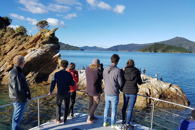 Marlborough Sounds Ultimate Cruise - Accessibility Features