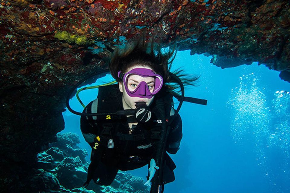 Maui: Beginner Discovery Scuba Dive Excursion From Lahaina - Price and Duration