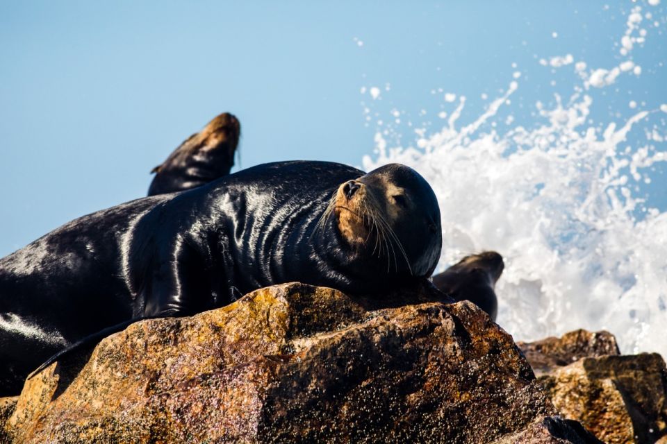 Mazatlan: Ten Islands Boating Expedition - Frequently Asked Questions