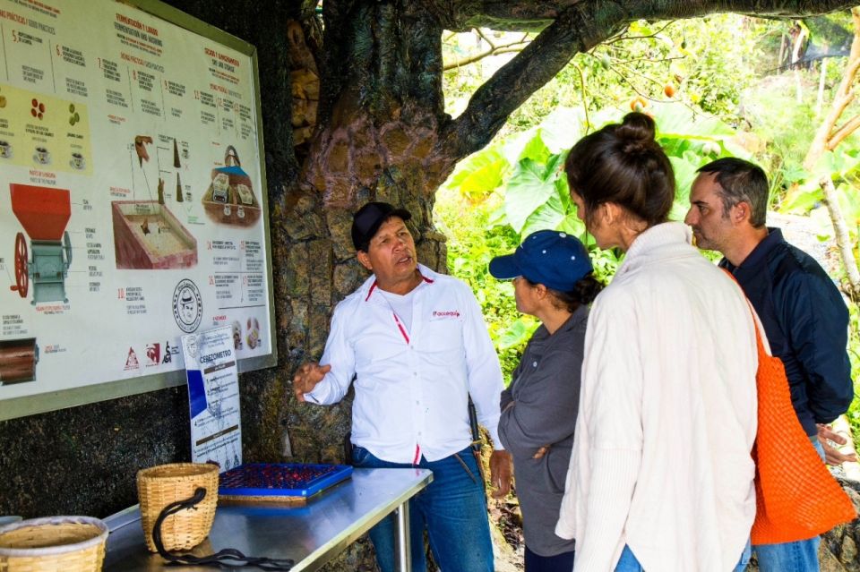Medellin: Coffee Farm Tour & Spa With Overnight Glamping - Additional Activities in Medellin