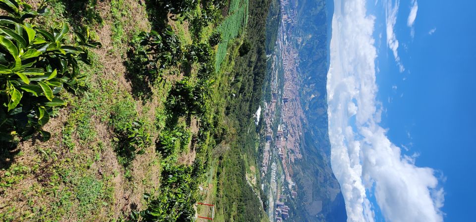 Medellin: Mountain Bike Coffee Farm Tour and Spa Experience - Nearby Attractions and Tours