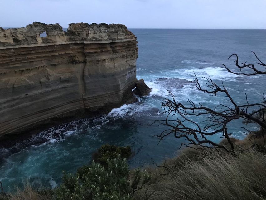 Melbourne: Great Ocean Road Day Trip With Rainforest Visit - Rainforest Visit Highlights