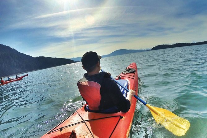 Mendenhall Glacier View Sea Kayaking - Customer Experiences