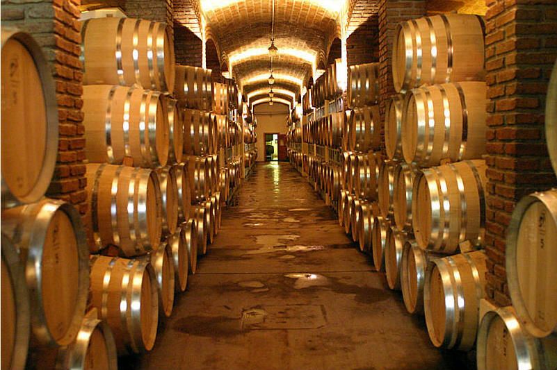Mendoza: Small-Group Wineries Tour With Tasting and Lunch - Cancellation Policy