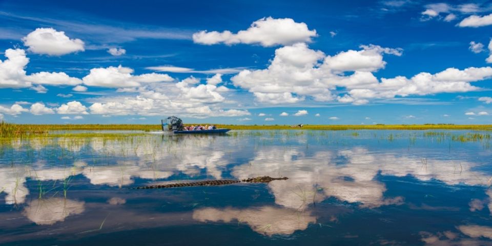 Miami: Small Group Everglades Express Tour With Airboat Ride - Jungle Trail